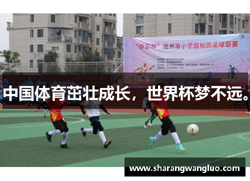 中国体育茁壮成长，世界杯梦不远。